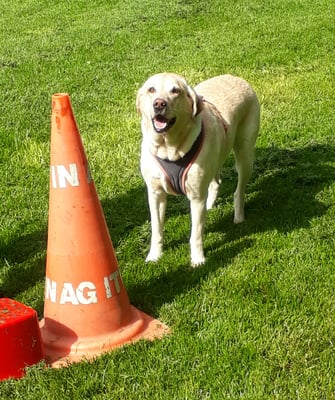 ... was genau söll i do mache???