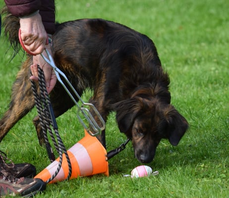 I ha es Eili gfunde!!