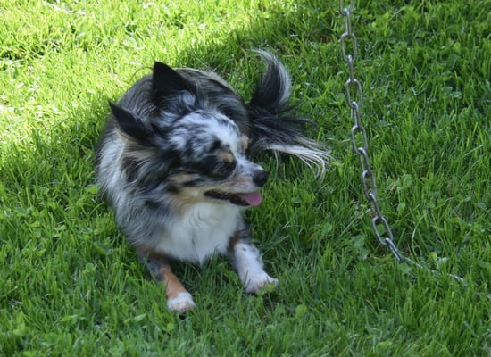 Hihihi, do han is viiiiiiel eifacher