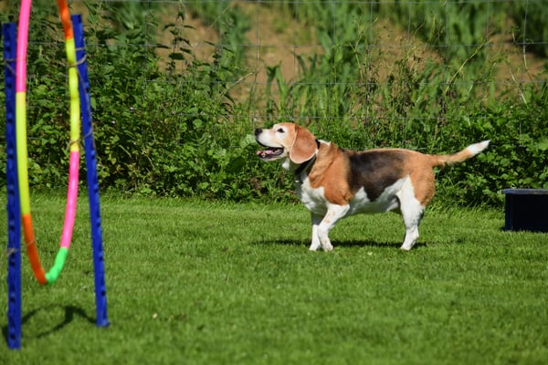 ...Ah nei, stoppe z erscht no