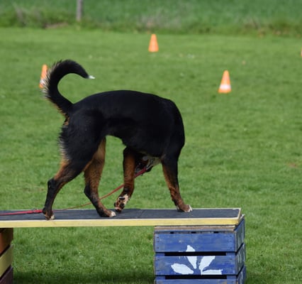 Aber mach das trotzdäm super!