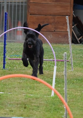 ... mit bitz Hilf... Und so klappts denn au!