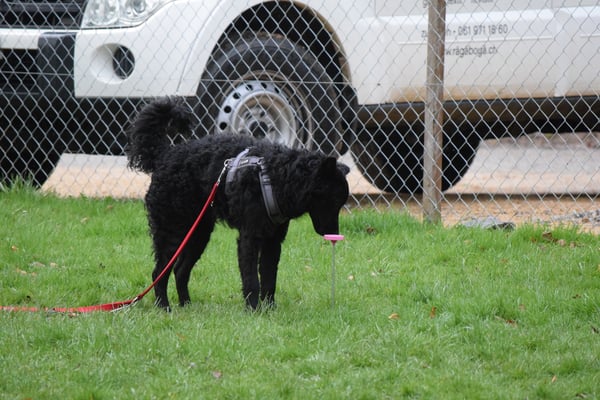 Ändlich gohts witer...