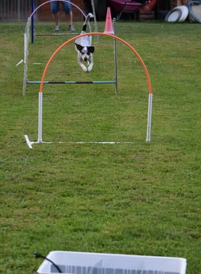 Aha, das fägt - Hoop, Sprung, Hoop, Sprung...