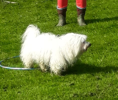 ...uiii, bis usegrütscht...