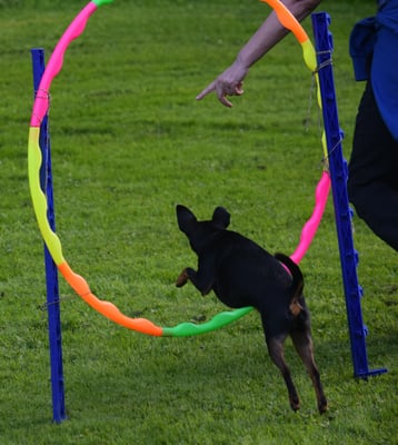 Auf für mich isch das gaaaar kein Problem....