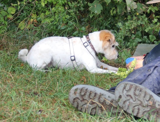 Genauso macht mä das.