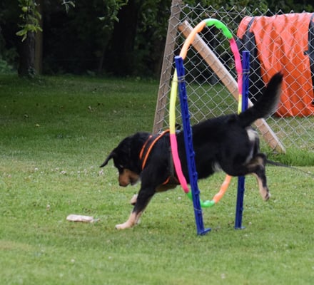Sprung dur dr Hula-Hopp-Ring und dr Gegästand...
