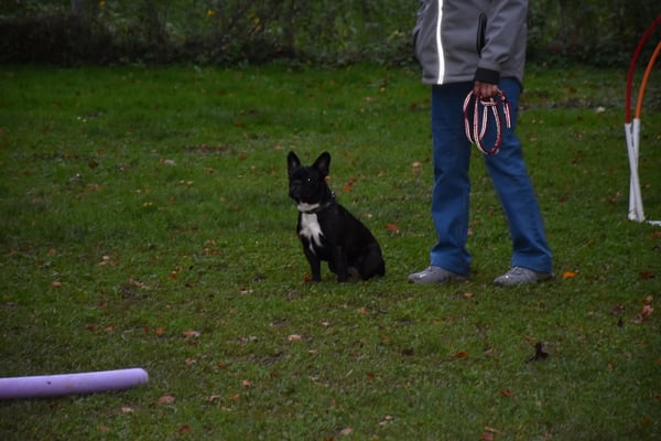 Was, eh, wie goht die nächschti Üebig?