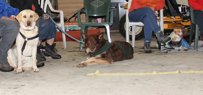 Etwas müde von den vielen Eindrücken des Tages