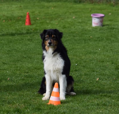 ... und mir müess trotz däm Ghetz cool warte..
