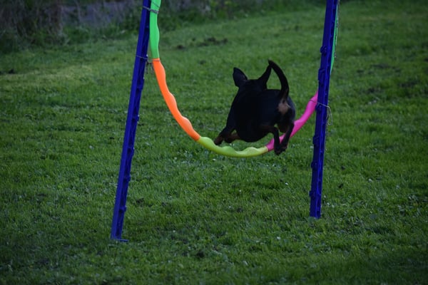 Und no einisch d Lisa vo hinde...