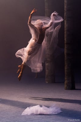 Servizi fotografici, servizi video per la danza e il teatro, saggi, eventi fotografia outdoor, balletto, ballerine e ballerini, videomaker, video danza, videodance