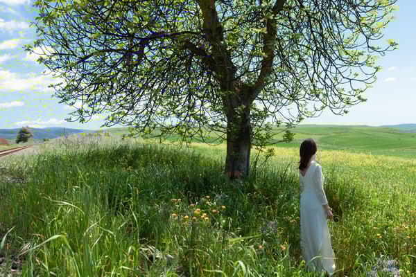 annalaura cinema cortometraggio lgbt amore matrimonio poesia sogno cagliari  lgbt #gay lgbtq pride loveislove lesbian instagay filmfreeway cinemafestival elisa vinci sara perra