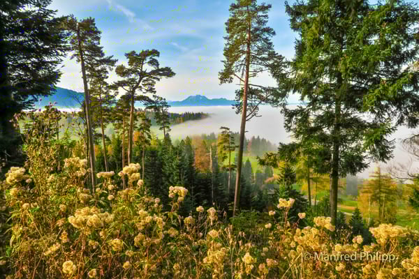 Herbst auf dem Zugerberg