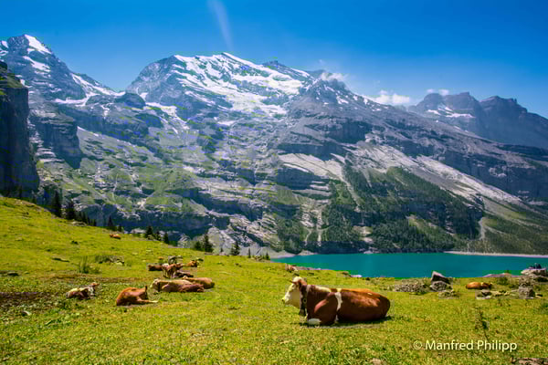 Über dem Oeschinnensee