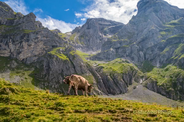 Walenstöcke, Obwalden