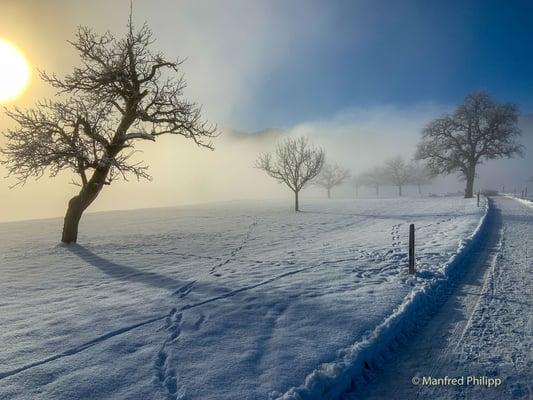 Wintersonne setzt sich gegen den Nebel in Ägeri durch