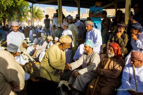 Ziegenmarkt in Oman