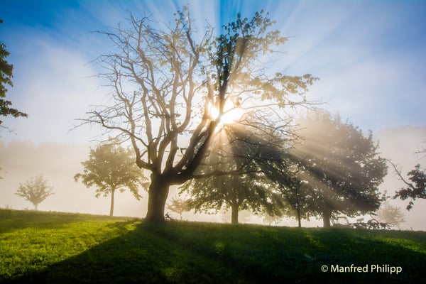 Spiel von Sonne und Nebel bei St. Verena, Zug
