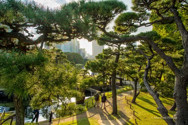 Stadtpark in Tokyo, Japan