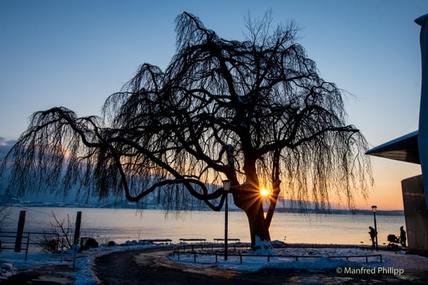 Sonnenuntergang am Zugersee