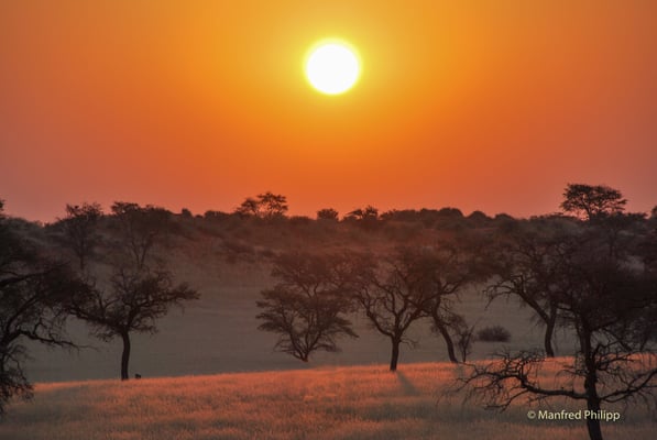 Sonnenuntergang in der Namib, Namibia