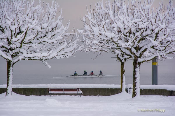 Rudern auf dem Zugersee im Winter
