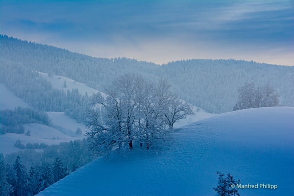 Winterstimmung in den Hügeln um Menzingen