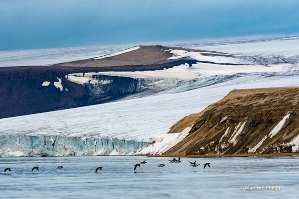 Gletscher in Spitzbergen