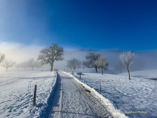 Winterspaziergang in Ägeri