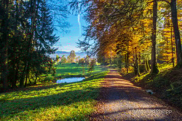 Herbststimmung bei Ägeri