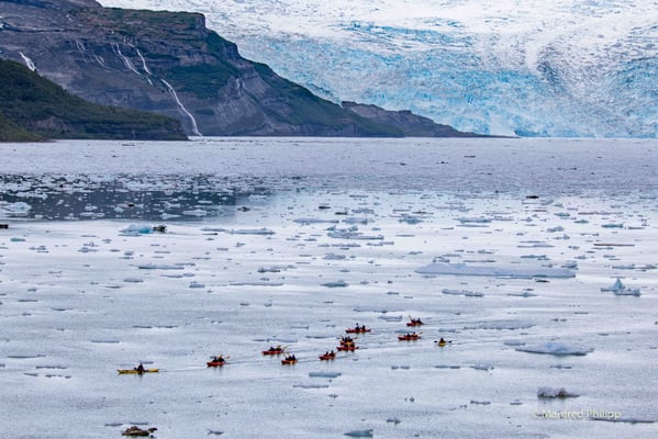 Kajaks in der Icy Bay