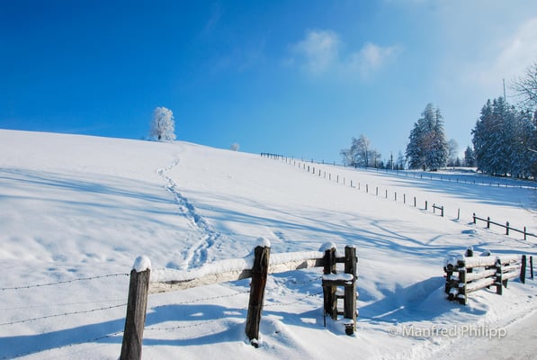 Auf dem verschneiten Zugerberg