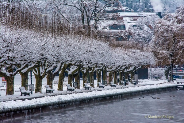 An der Seepromenade in Zug