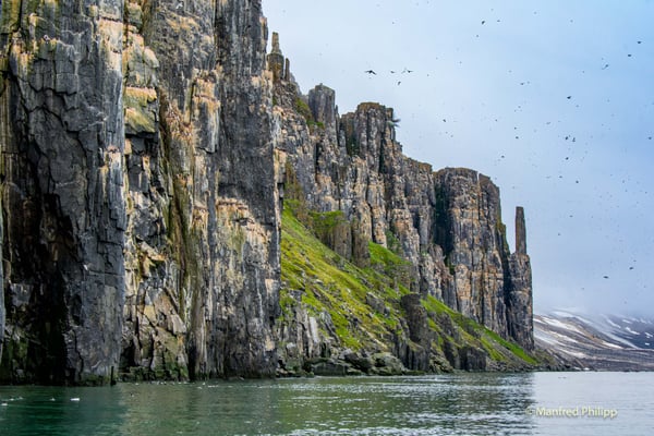 Vogelfelsen, Spitzbergen