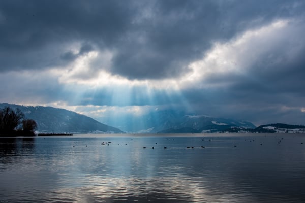 Sonnenstrahlen über dem Zugersee an einen trüben Januartag
