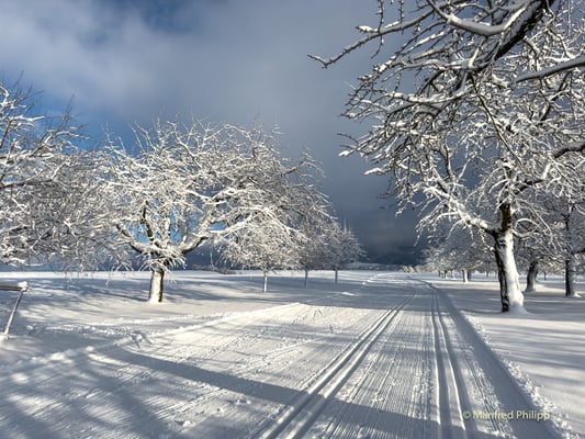 Langlaufloipe bei Menzingen, Kanton Zug