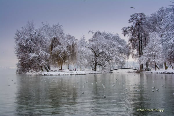 Wintertag im Villettepark in Cham