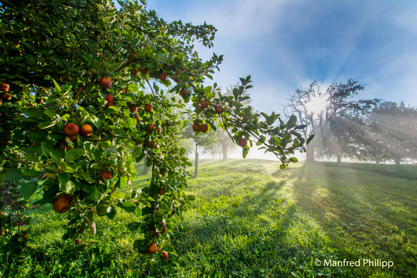 Sonne zaubert eine schöne Herbststimmung