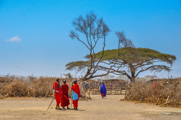 Massai-Steppe, Tansania