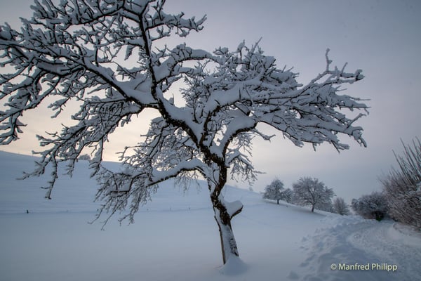 Winter bei Menzingen