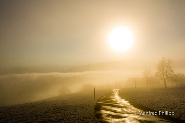 Wintersonne im Nebel