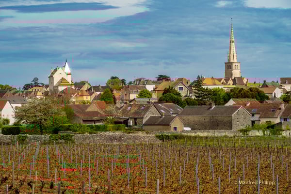 Meursault, Frankreich