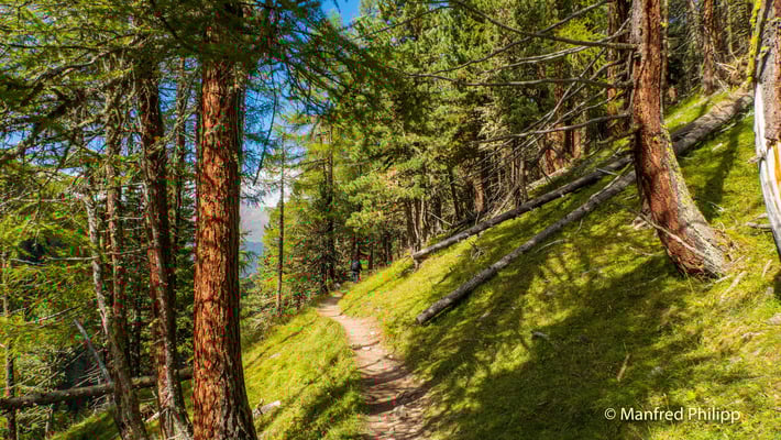 Im Nationalpark bei Zuoz