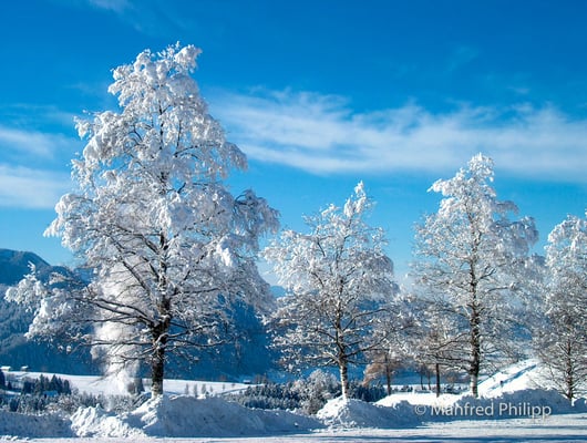 Auf dem Raten im Winter