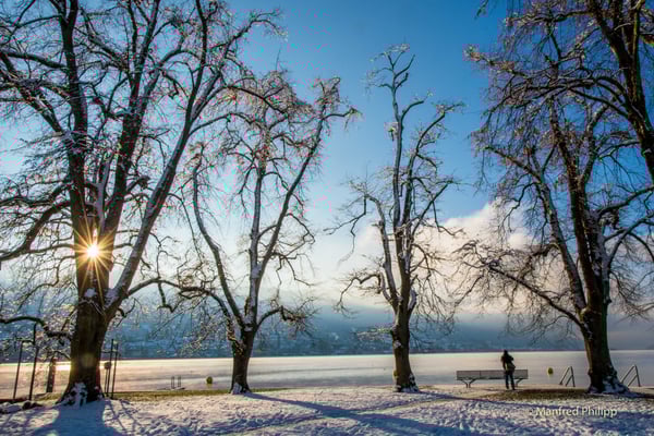 Im Villettepark in Cham im Winter