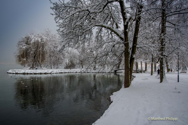 Am Zugersee im Winter