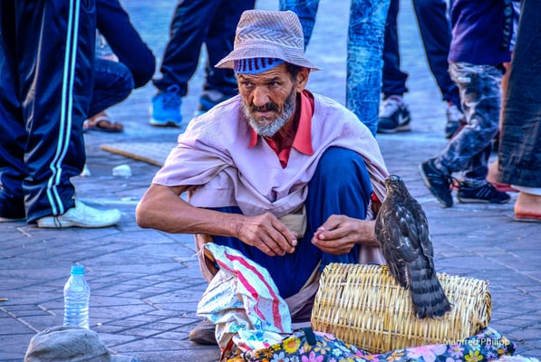 Schlangenbeschwörer in Marrakesch, Marokko