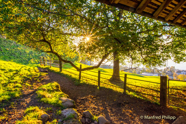 Nachmittagssonne über der Stadt Zug